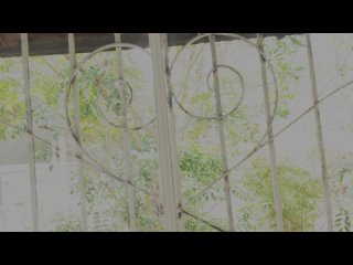 marn-004